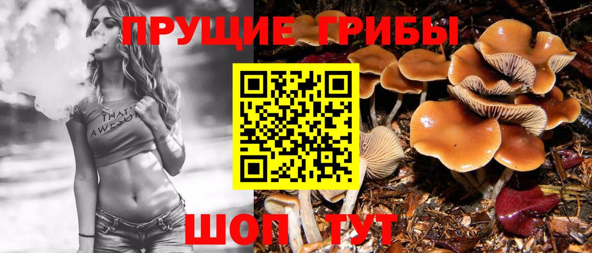 Галлюциногенные грибы GOLDEN TEACHER Волоколамск