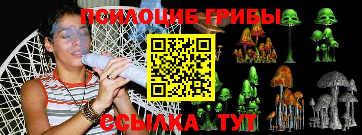 Галлюциногенные грибы Cubensis  Вход с VPN  Волоколамск 